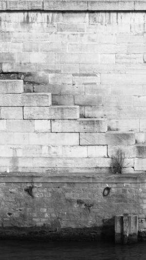 seo上首页工具截图3