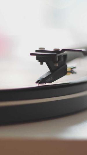 泛目录站群截图1