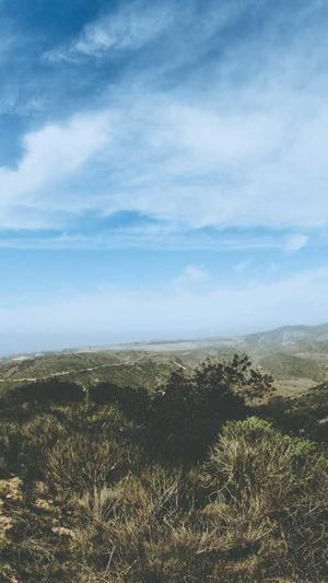 seo工具外链截图3