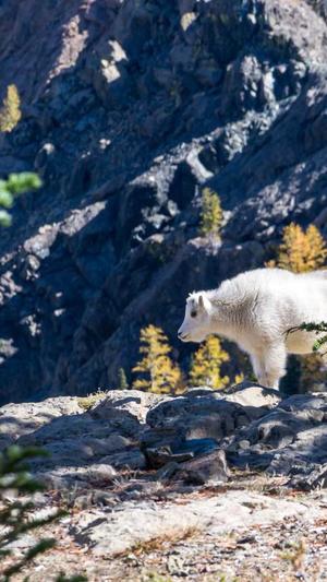 seo优化推广多少钱截图2