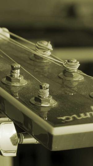 seo站长工具优化截图5