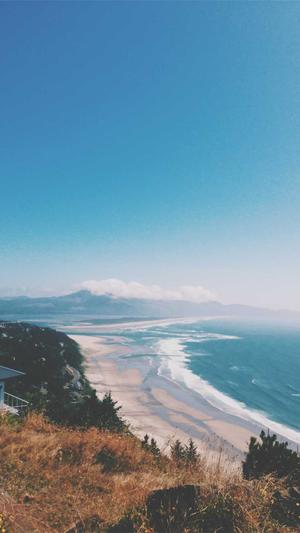 网站建设seo优化截图4