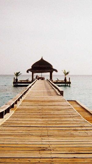 咸宁网站建设截图2