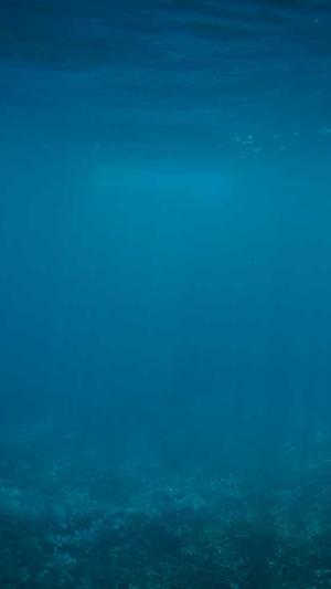 网排名工具seo截图4