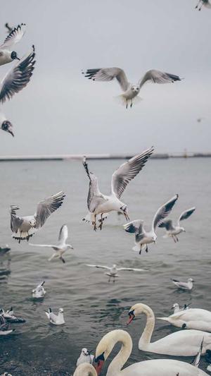 上海蜘蛛池租用截图3