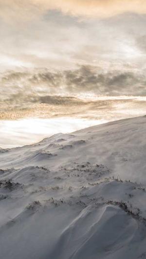 泛目录站群灰色词代做截图4