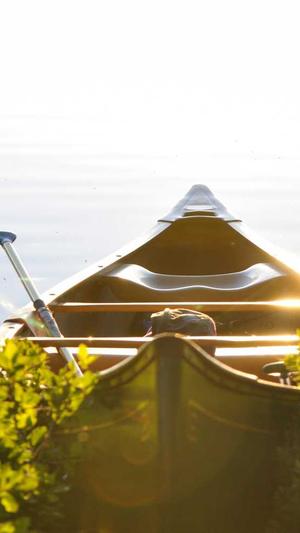 seo排名工具哪个好截图1