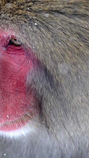 重庆seo排名优化公司截图3