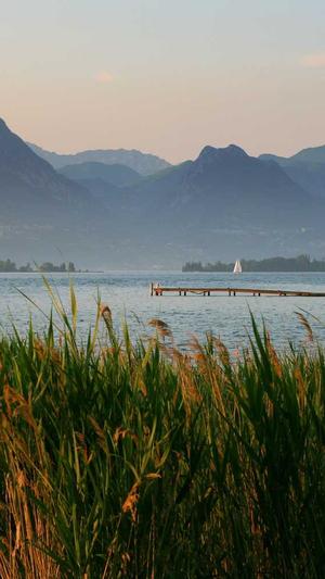 建设局网站截图2