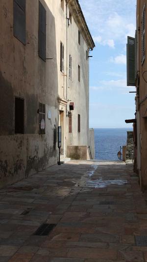 seo关键词排名优化软件截图2