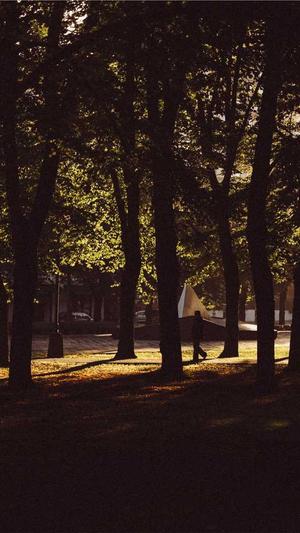 网站建设内容截图2