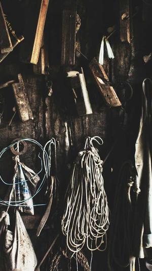 网站建设公司截图2