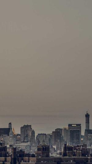 沈阳seo顾问截图1