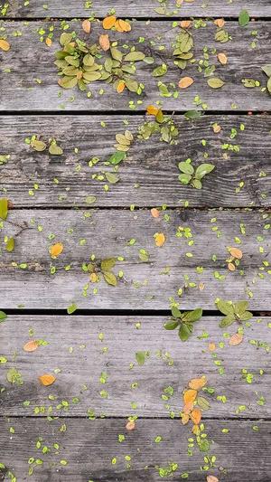 网站建设的步骤有哪些截图1