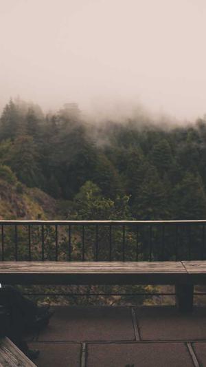 聚合泛目录3.0站群截图5