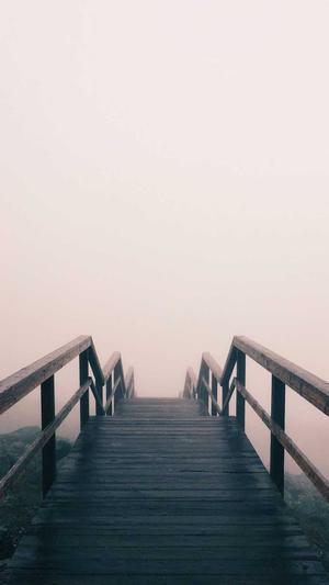 seo优化检查工具截图1