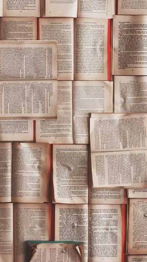 长沙建设网站制作截图2