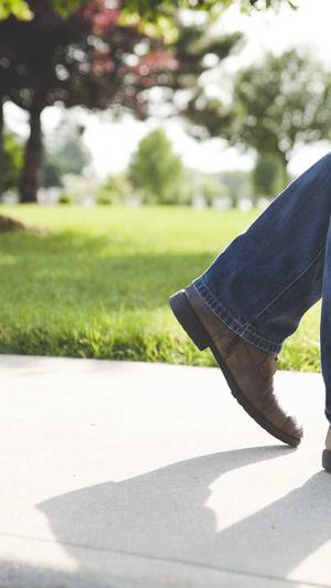 蜘蛛池外推方法截图2