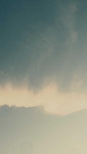 蜘蛛池建造程序截图2