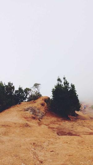 seo推广是什么截图4