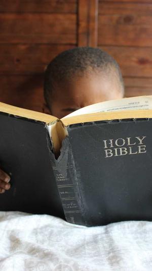 google seo工具分类截图2