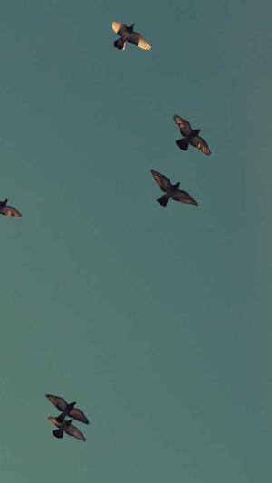 甘肃省建设厅网站截图1