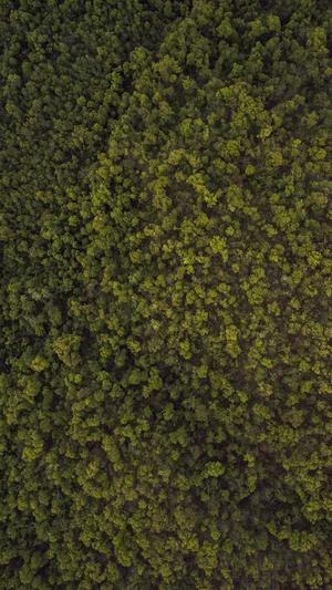 搜狗蜘蛛池出租包月截图4