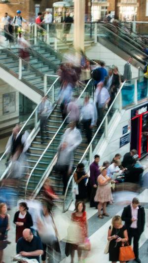 seo的重要工具截图1