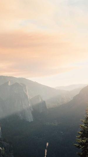 重庆高端网站seo截图2