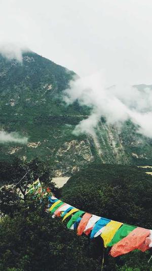 seo快速工具找超快排截图3