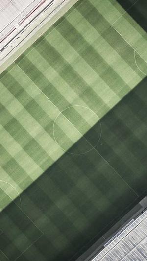 新人如何入手蜘蛛池截图2