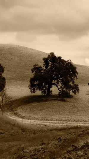 seo刷网站排名公司截图2